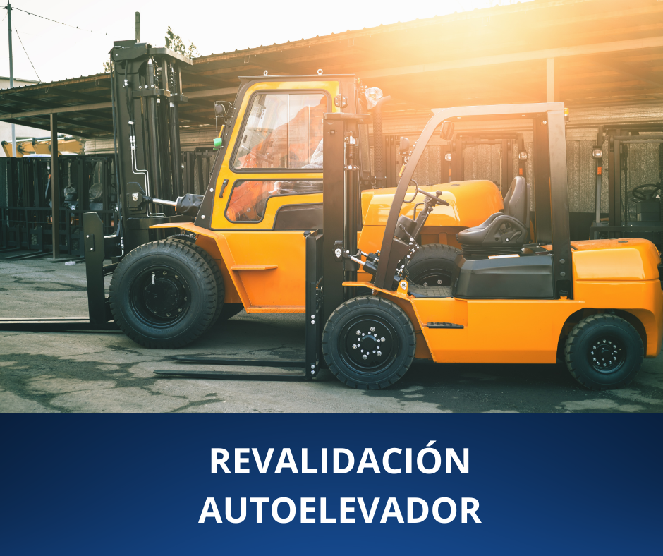 Forklift revalidation